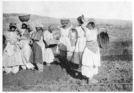Harry A. Franck · A Vagabond Journey Around the World (1910) photographic plate 156a