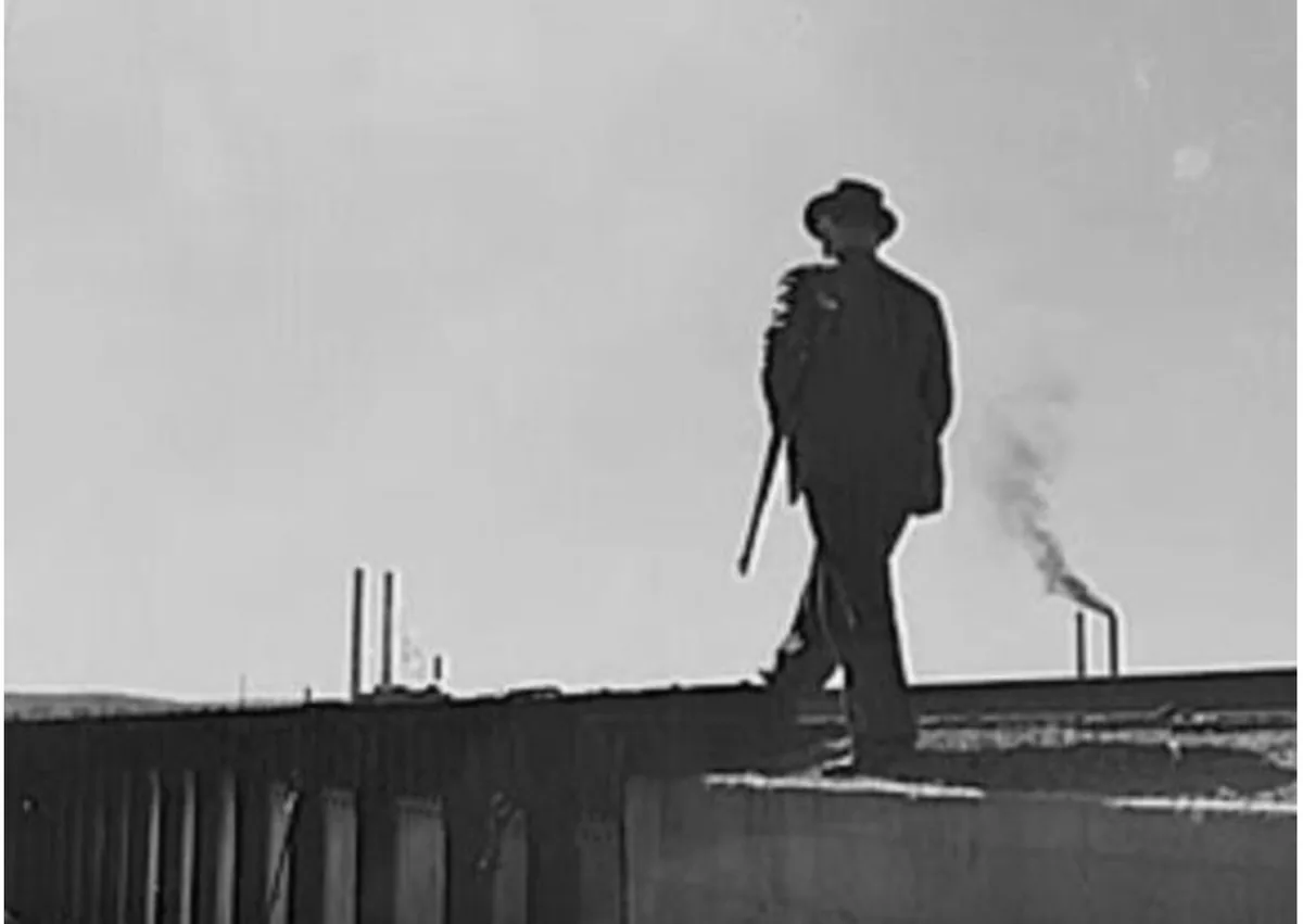 巡查车厢的铁路警察（Railroad Bull）