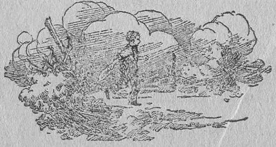 A-No. 1 · The Trail of the Tramp (1913)