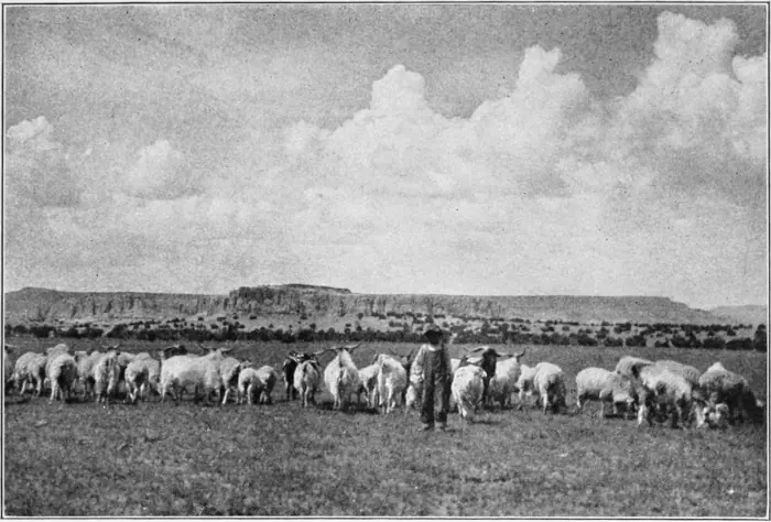 Westward Hoboes (1921)
