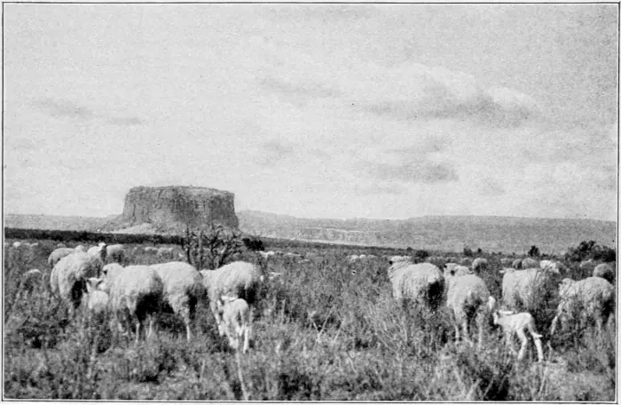 Westward Hoboes (1921)