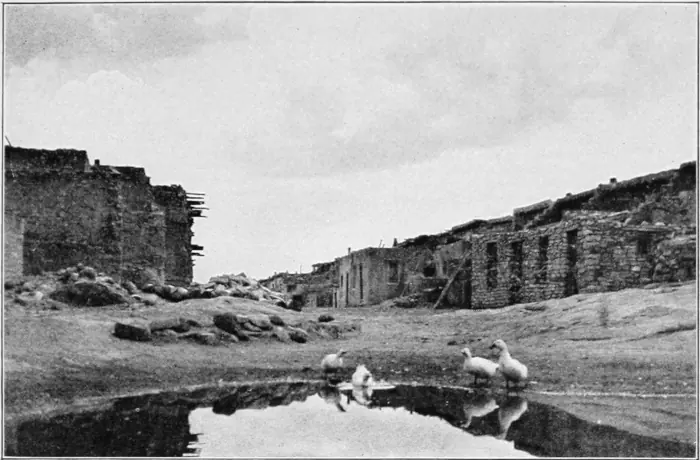 Westward Hoboes (1921)