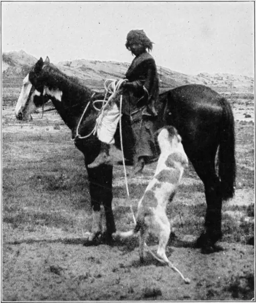 Westward Hoboes (1921)