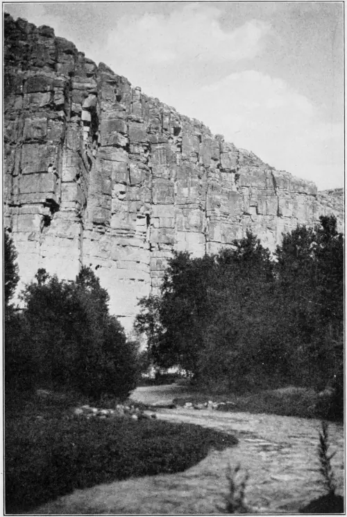 Westward Hoboes (1921)