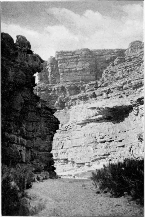 Westward Hoboes (1921)