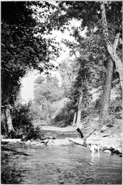 Westward Hoboes (1921)