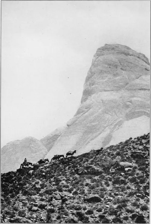 Westward Hoboes (1921)
