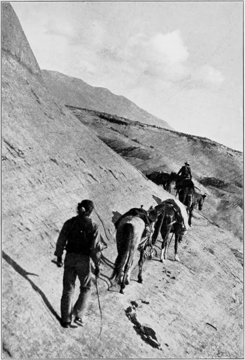 Westward Hoboes (1921)