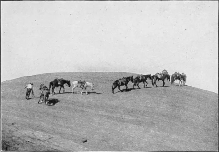 Westward Hoboes (1921)