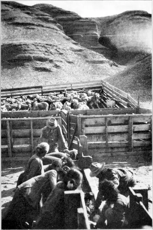 Westward Hoboes (1921)
