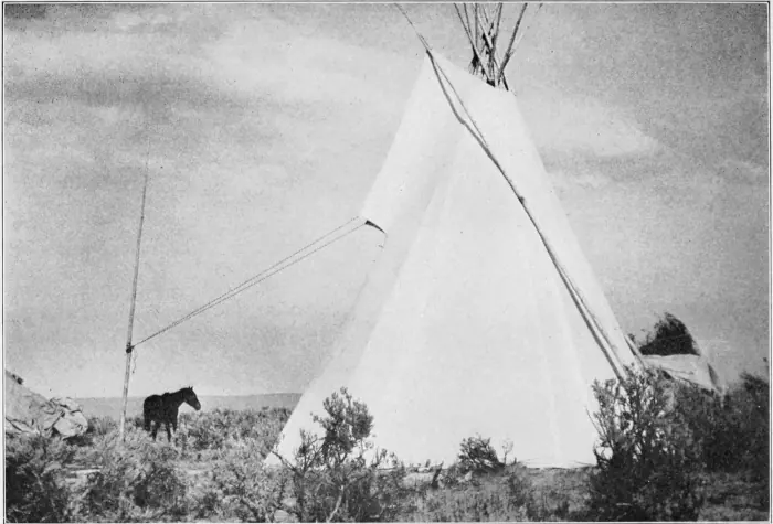 Westward Hoboes (1921)