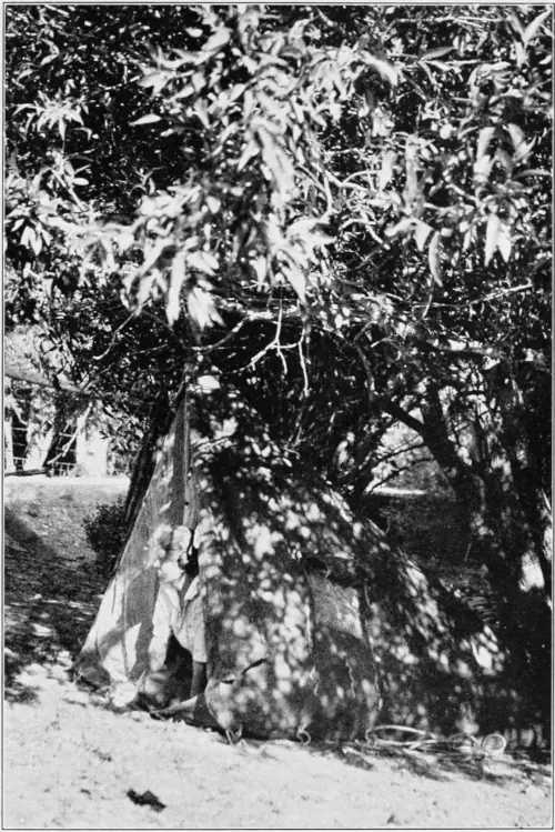 Westward Hoboes (1921)