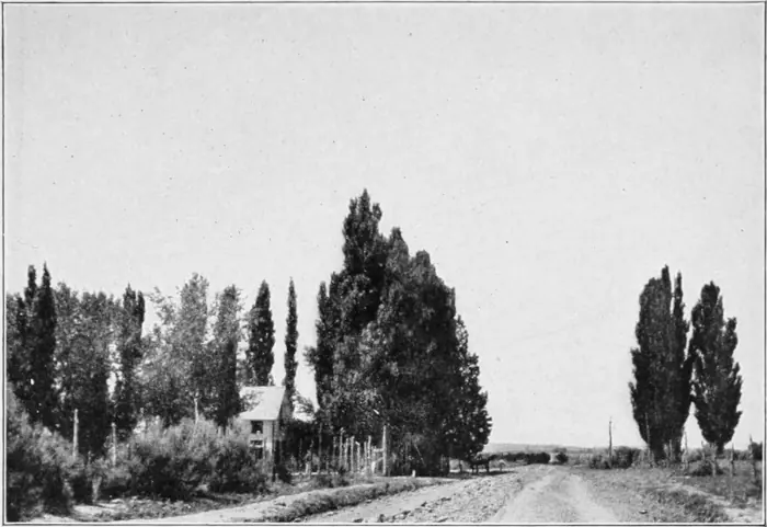 Westward Hoboes (1921)