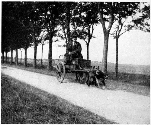 Harry A. Franck / Lena M. Franck · Working My Way Around the World (1918) photographic plate 022