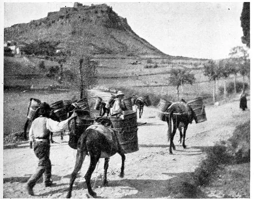 Harry A. Franck / Lena M. Franck · Working My Way Around the World (1918) photographic plate 061