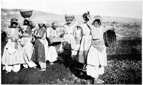 Harry A. Franck / Lena M. Franck · Working My Way Around the World (1918) photographic plate 106