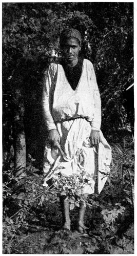 Harry A. Franck / Lena M. Franck · Working My Way Around the World (1918) photographic plate 148