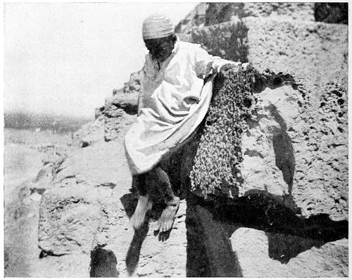Harry A. Franck / Lena M. Franck · Working My Way Around the World (1918) photographic plate 150