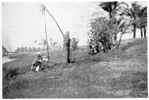 Harry A. Franck / Lena M. Franck · Working My Way Around the World (1918) photographic plate 155