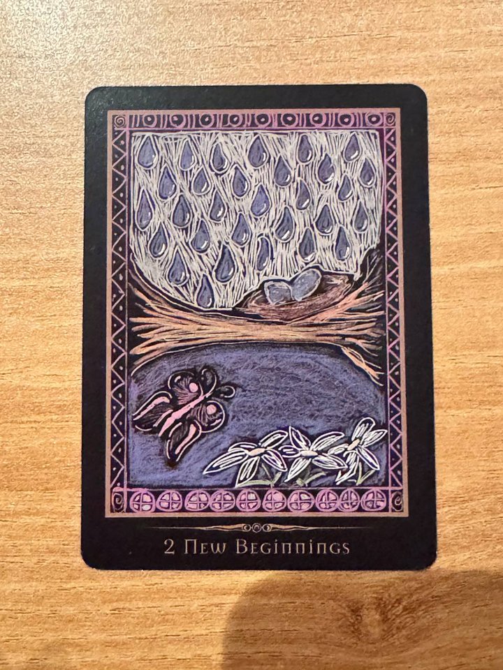 新的开始 New Beginnings