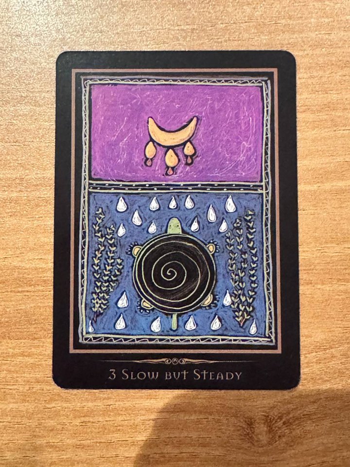 缓慢而稳定 Slow but Steady